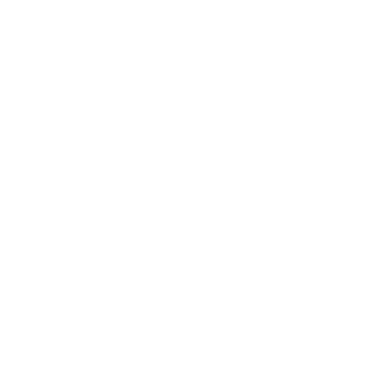Unity basmati rice
